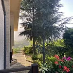 Cipriano 4*