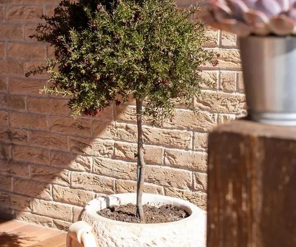 住宿加早餐酒店 Cipriano 4*