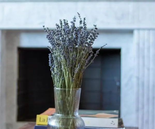 Cipriano 明图尔诺