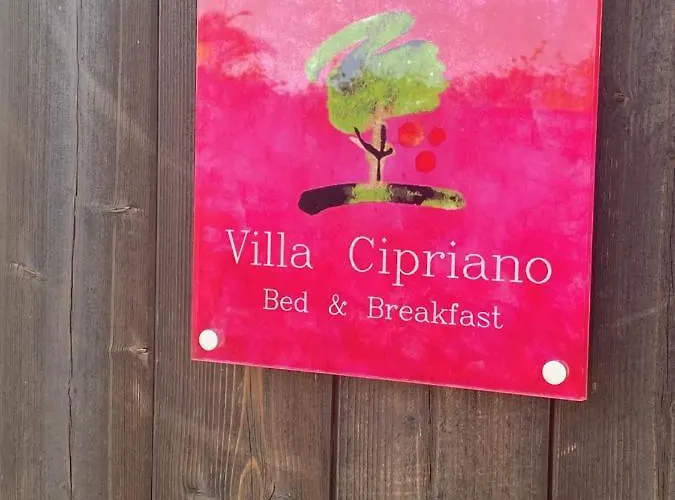 住宿加早餐酒店 Cipriano 明图尔诺