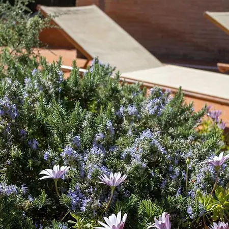Cipriano 住宿加早餐酒店 明图尔诺