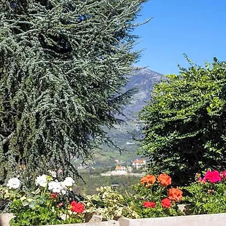 B&B Cipriano