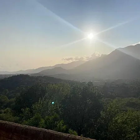 Cipriano