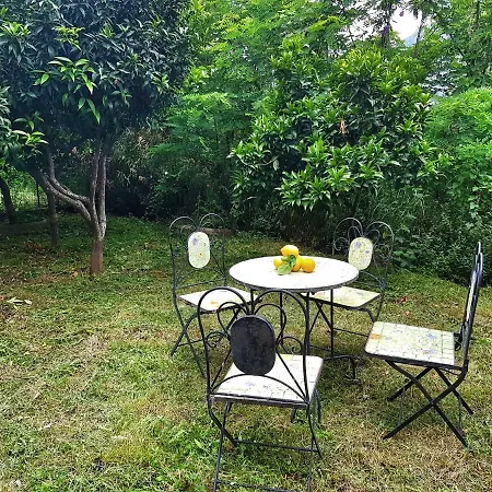 住宿加早餐酒店 Cipriano